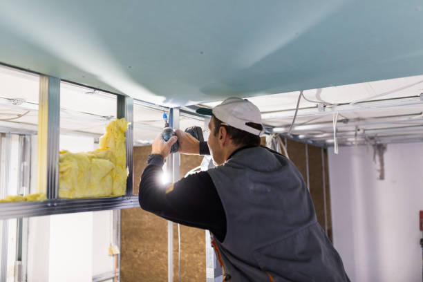 Best Insulation Removal  in Bayshore, NC