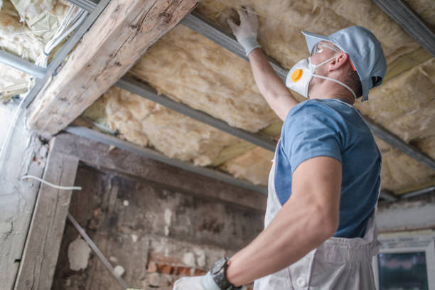 Best Blown-in Insulation  in Bayshore, NC