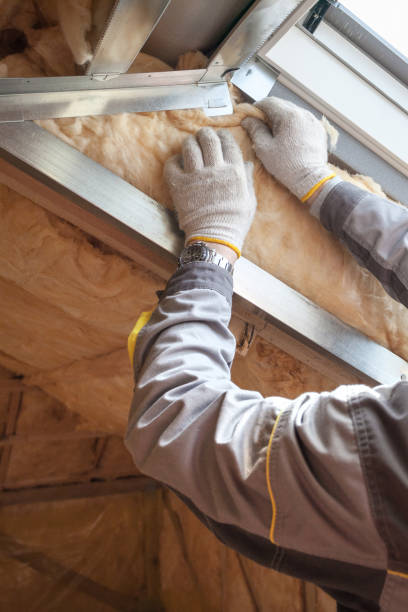 Best Insulation Contractor Near Me  in Bayshore, NC