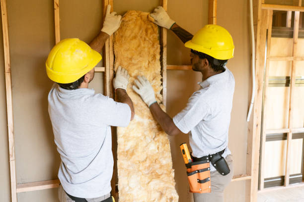 Best Garage Insulation Installation  in Bayshore, NC