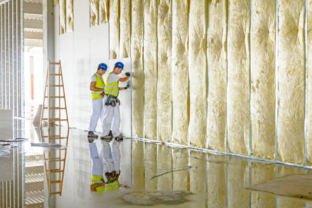 Best Crawl Space Insulation  in Bayshore, NC